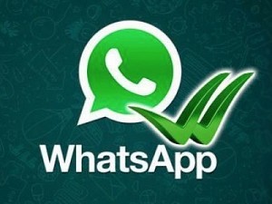 Dois "tiques" do WhatsApp não significa que a pessoa leu sua mensagem, entenda