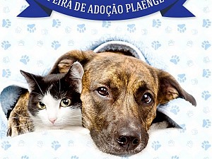 Feira de adoção de animais será realizada no próximo domingo, 23