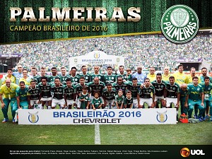 Palmeiras: Campeão Brasileiro de 2016