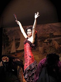 The Met - Carmen de Bizet